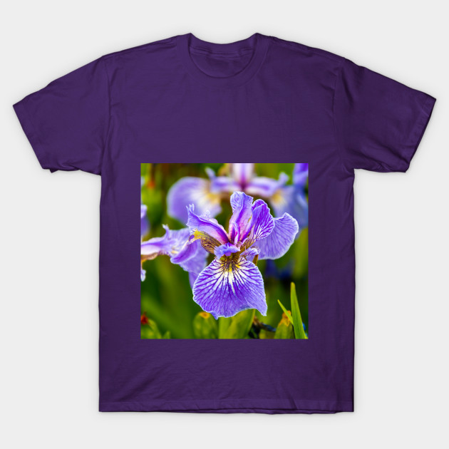 Purple Iris Flower by SafariByMarisa